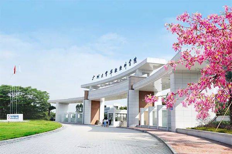 IT运维服务：企业安全与效率的守护者